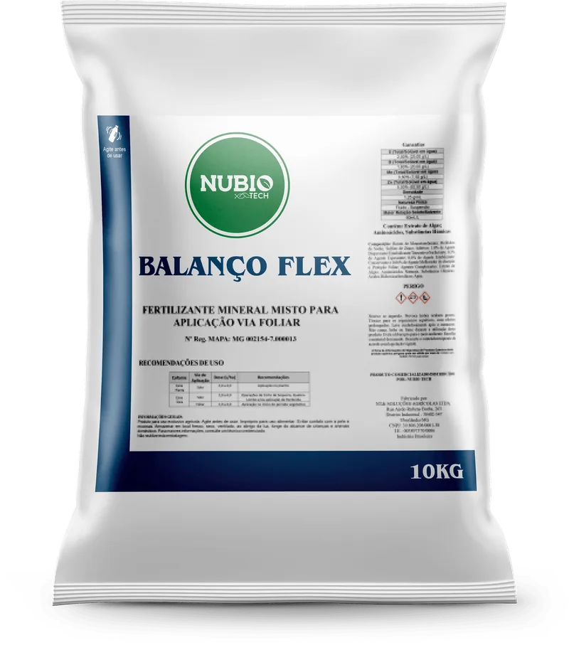 Balanço Flex