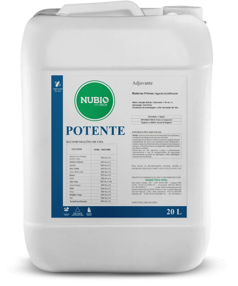 Potente